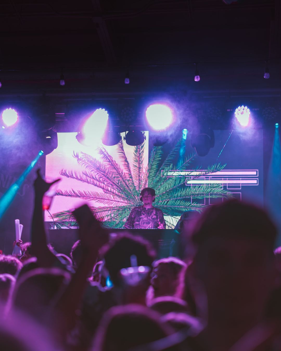 A DJ stage with a palm-leaf video screen and hands in the air